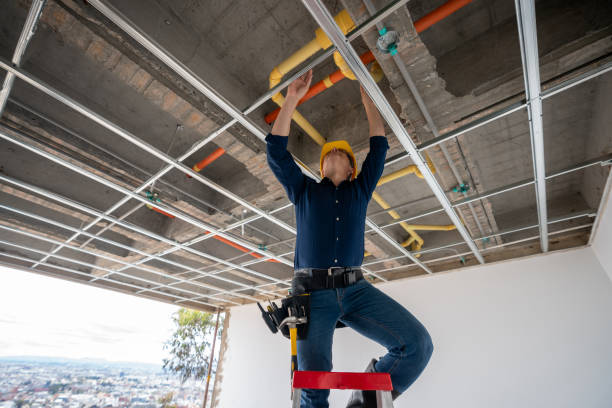 Best Plumbing Inspection Services  in Point Clear, AL