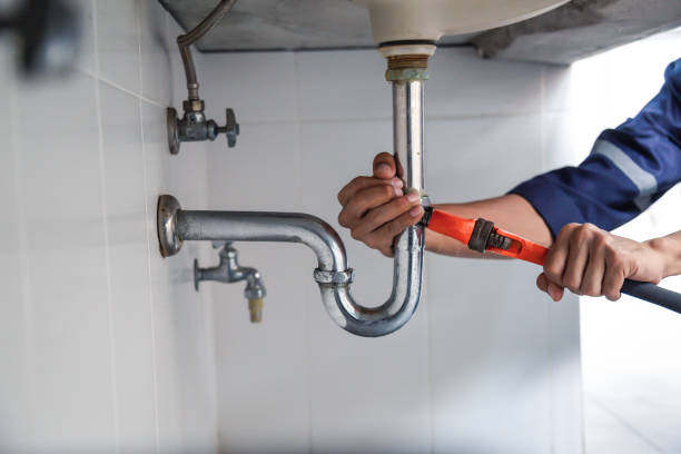 Best Local Plumber Services  in Point Clear, AL